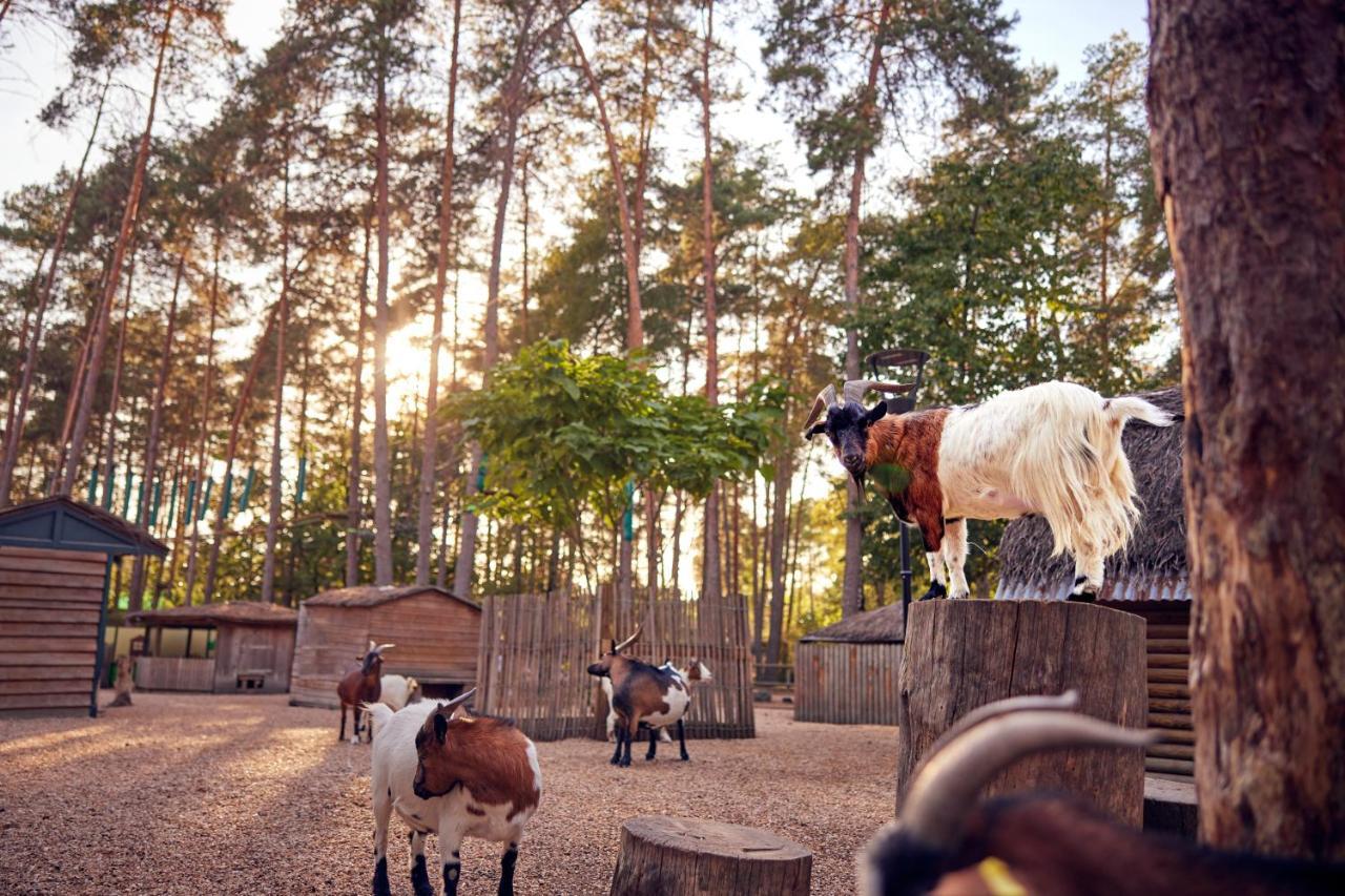 Center Parcs Les Hauts De Bruyeres ショーモン・シュル・タロンヌ エクステリア 写真